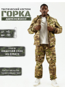 Осень Альфа Кошачий Глаз  (мультикам)